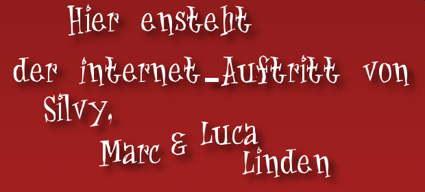 Hier entsteht der Internet Auftritt von Silvy, Marc & Luca Linden